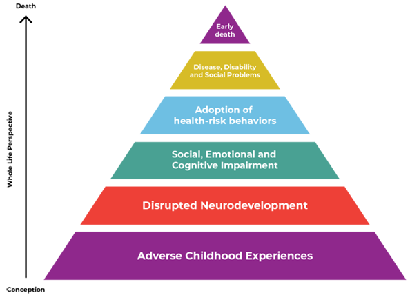 Pyramid chart of how Adverse Childhood Experiences influence Health and Well-being throughout the lifespan